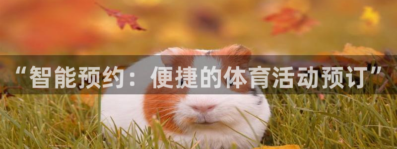 ug环球官网注册