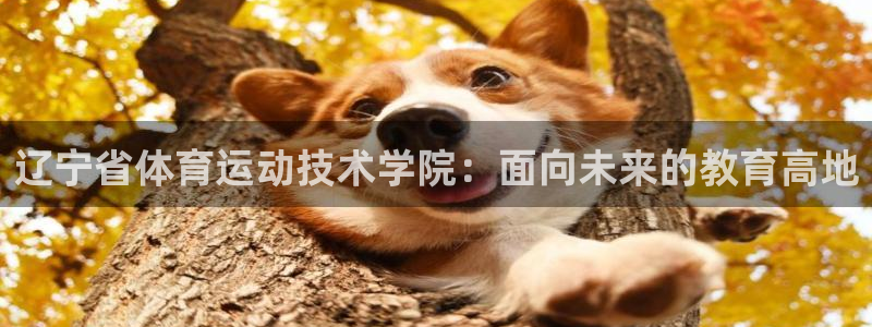 ug环球官网登录入口