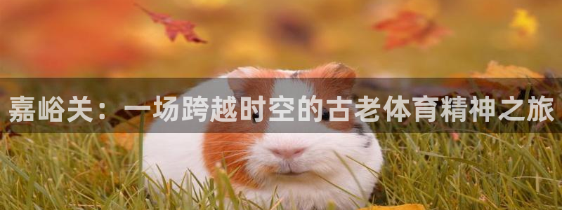ug环球官网：嘉峪关：一场跨越时空的古老体育精神之旅