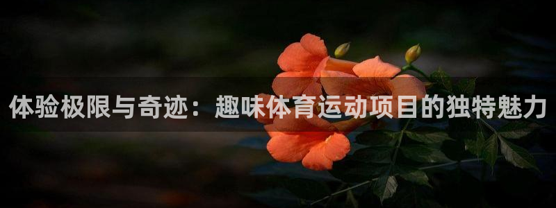 ug环球官网注册