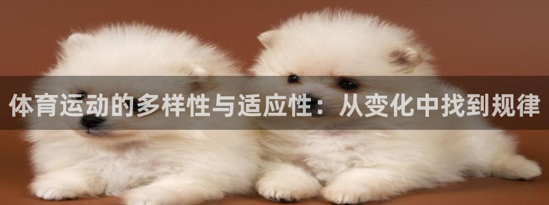 ug环球官网
