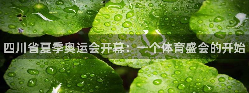 ug环球官网注册