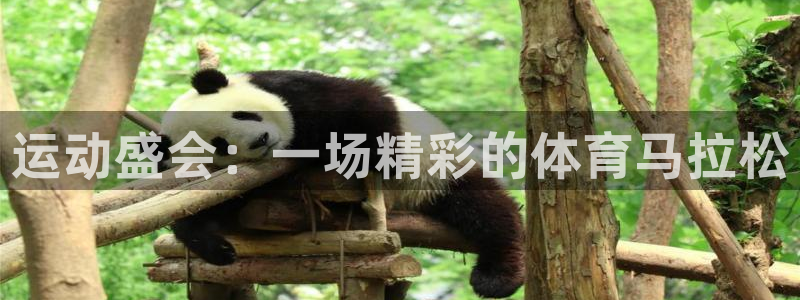 ug环球官网注册：运动盛会：一场精彩的体育马拉松