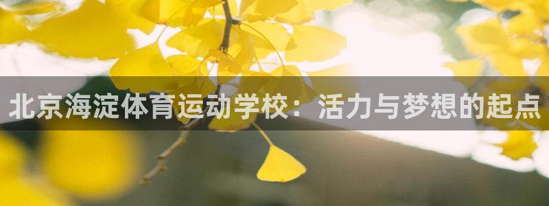 菲律宾ug环球官网：北京海淀体育运动学校：活力与梦想的起点